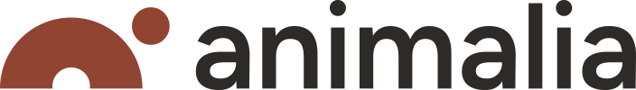 Logo-Animalia-hoved (002) - liten