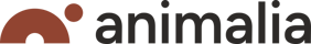 Logo-Animalia-hoved (002) - liten